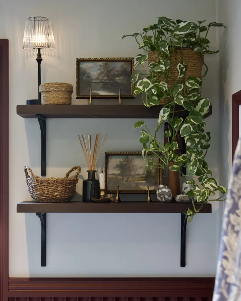 Dark wood bathroom shelves decorated with trailing plants, framed artwork, baskets, diffuser, and warm lighting.