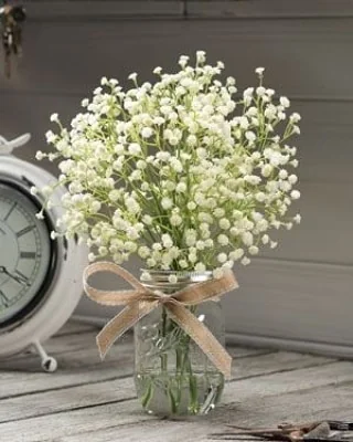Baby’s breath arranged in a clear mason jar finished with a simple burlap bow