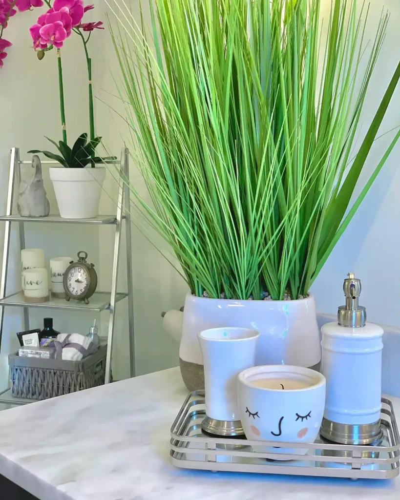 Bathroom counter decorated with a tall green plant, silver tray, candle, white containers, and neatly grouped essentials.