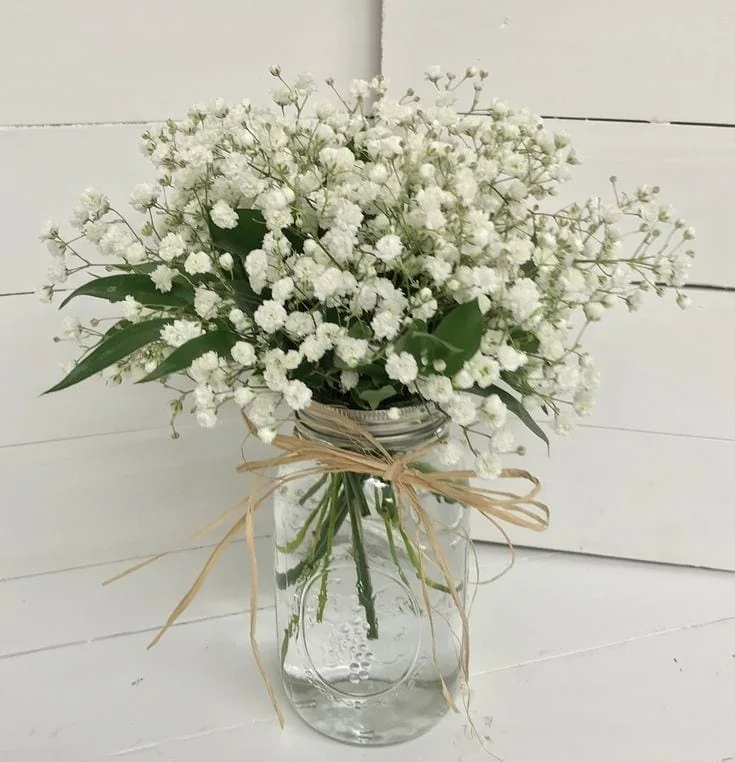 White baby’s breath and green leaves in a clear mason jar tied with a loose raffia bow