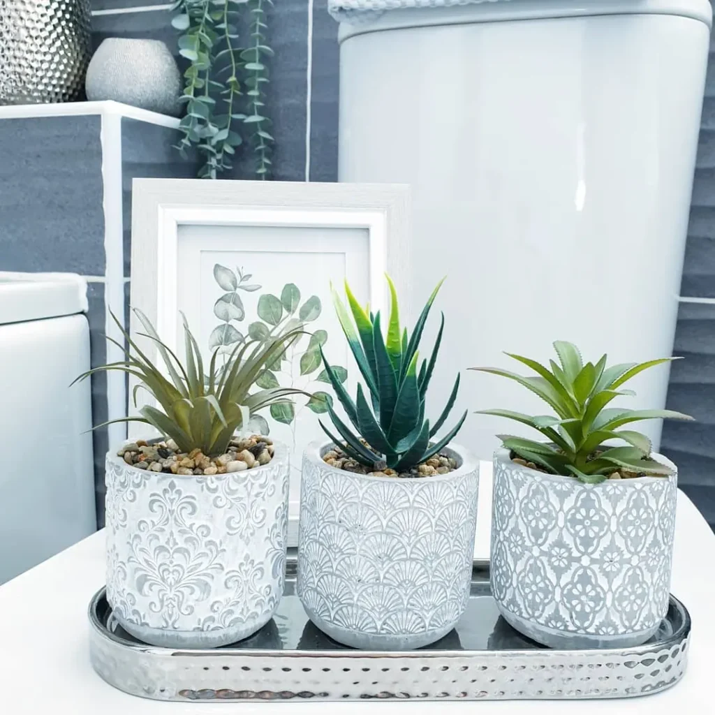 Narrow silver tray holding three patterned pots with green succulent-style plants and a botanical print behind them.