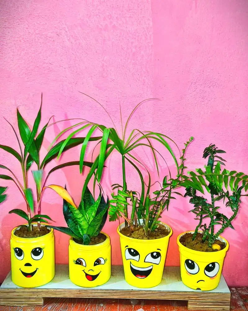Bright yellow plant pots painted with different cartoon faces, expressive eyes, and smiling mouths