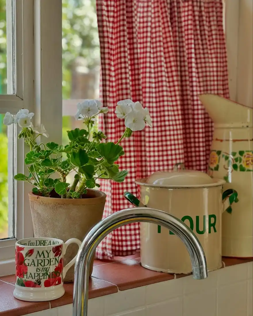 Kitchen window with red gingham curtains, white flowers in a terracotta pot, and floral mug