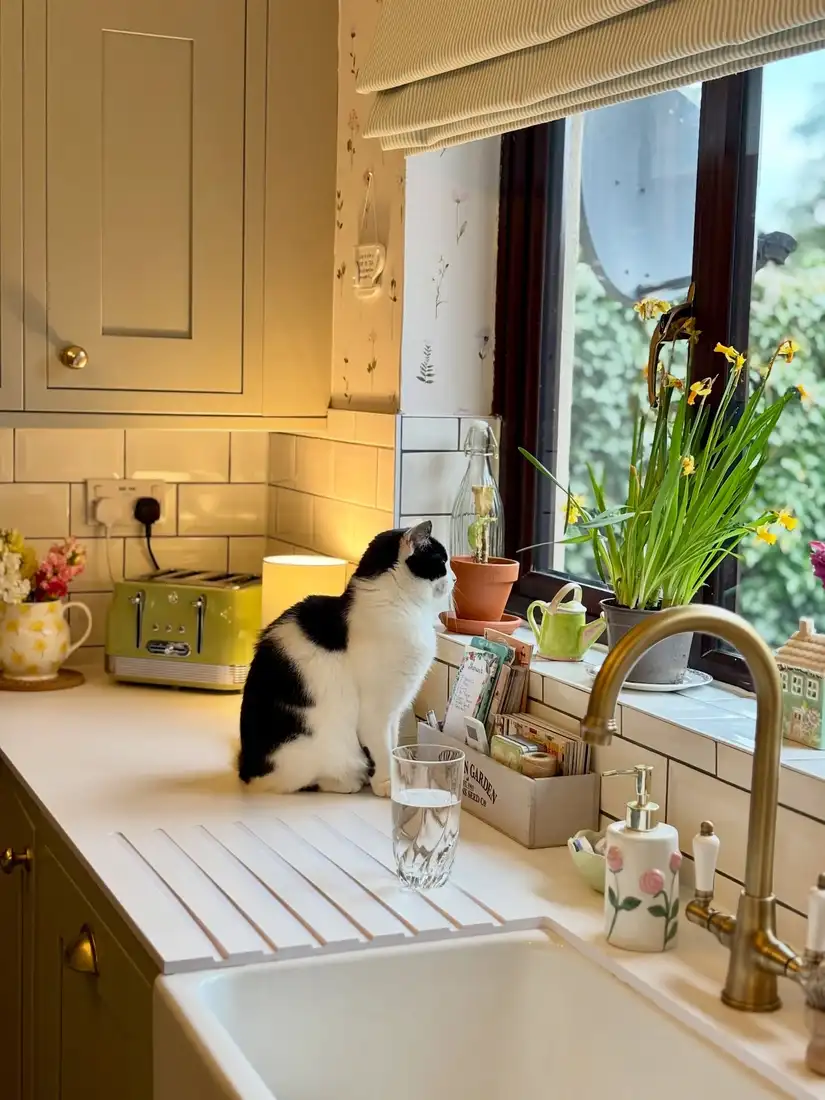Cottage kitchen window sill with yellow flowers, terracotta pots, small watering can, and tiny house