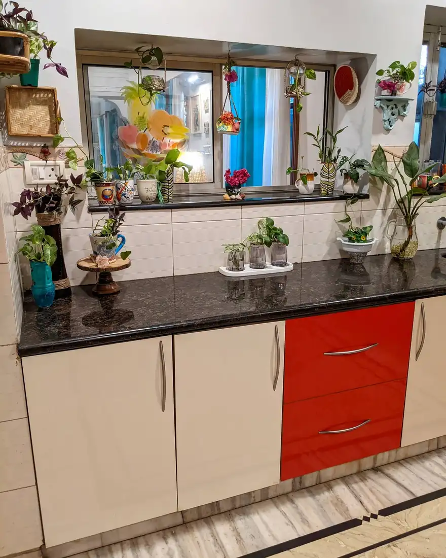Wide kitchen window sill with mixed small plant pots and hanging decorative pieces