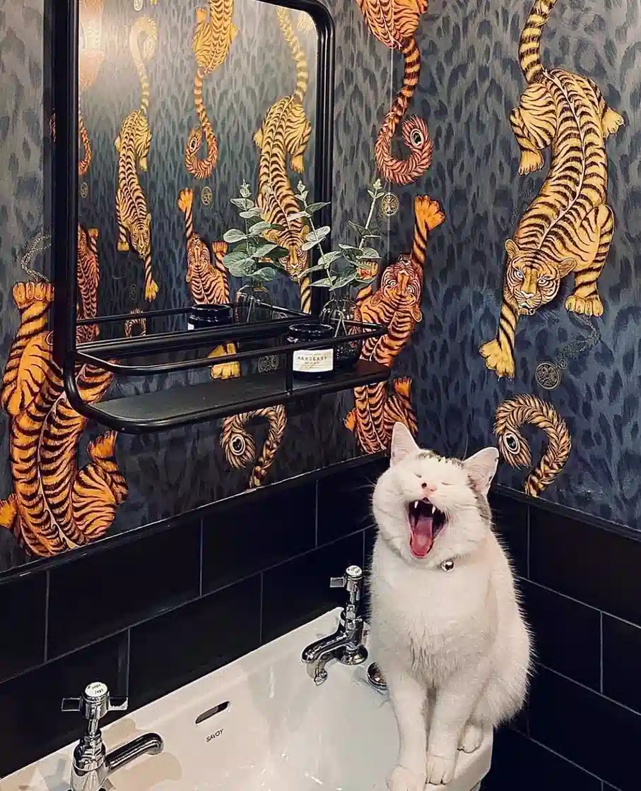 Dark bathroom with orange tiger wallpaper, black tile, black mirror, and matching dark shelf