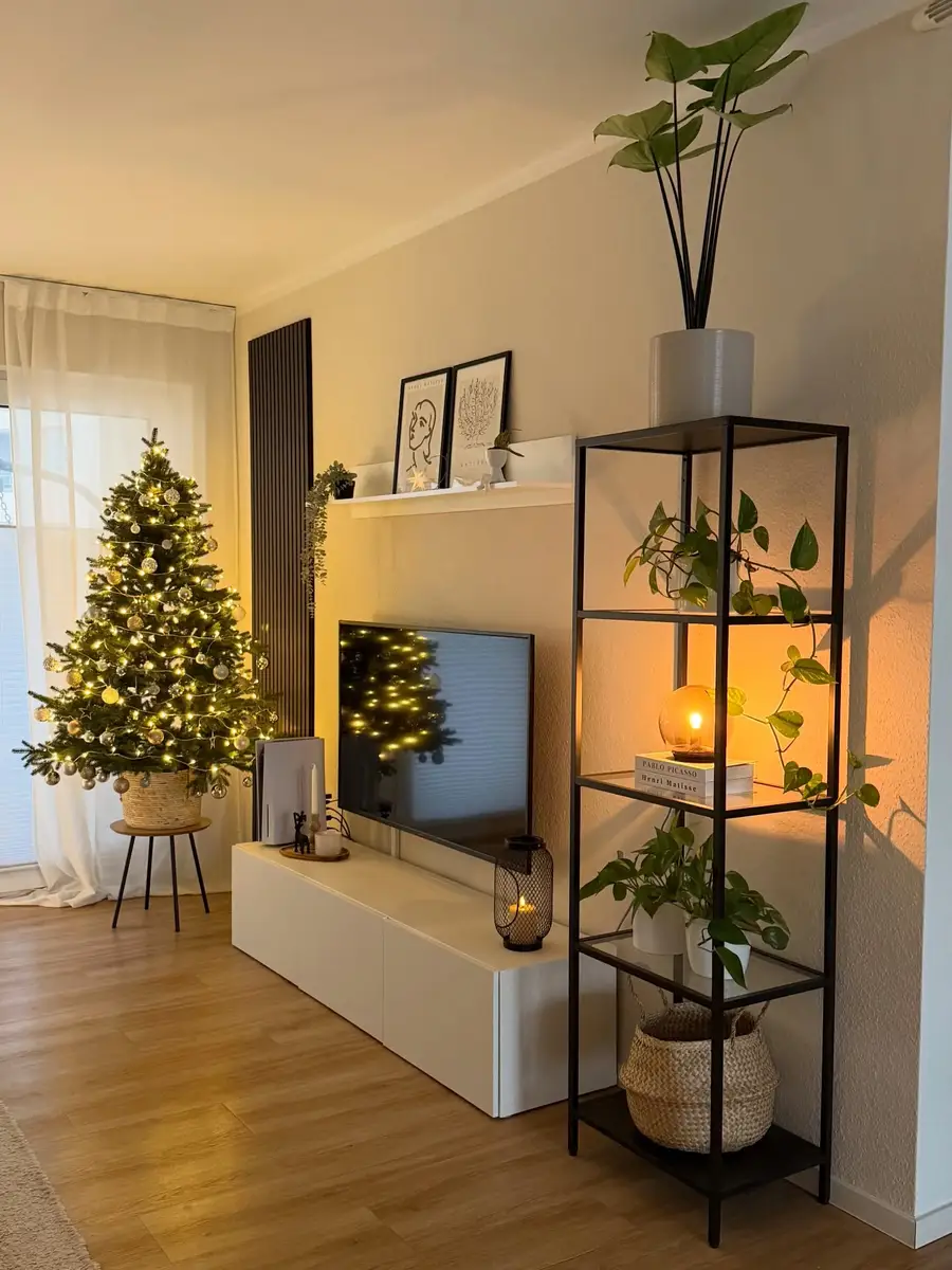 Compact living room with tall black open shelving, leafy plants, a small amber lamp, woven basket, and low white TV cabinet.