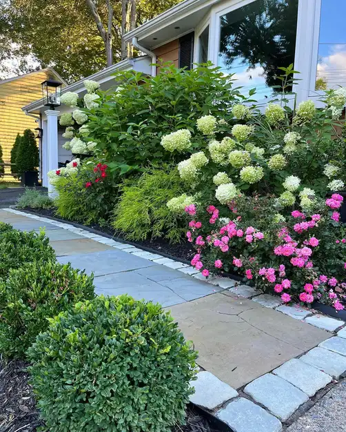 Front house flower bed with pink and white flowers layered beside a walkway and green shrubs