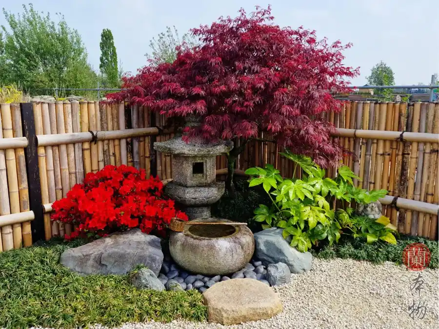 Japanese garden featuring a red Japanese maple, bamboo fence, red flowers, and stone water basins