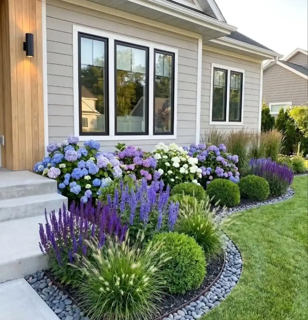Low front flower bed with purple and white flowers arranged in rounded groups beside a modern house