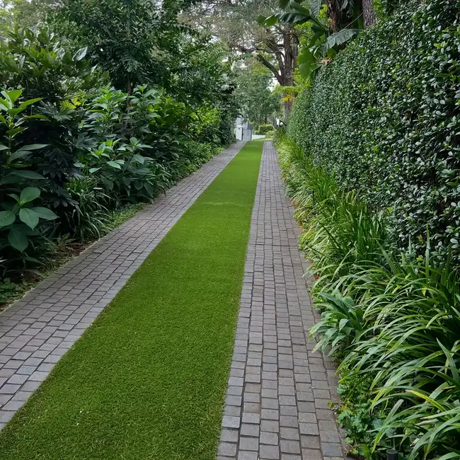 Narrow paved garden walkway surrounded by green lawn, tall plants, and dense hedges