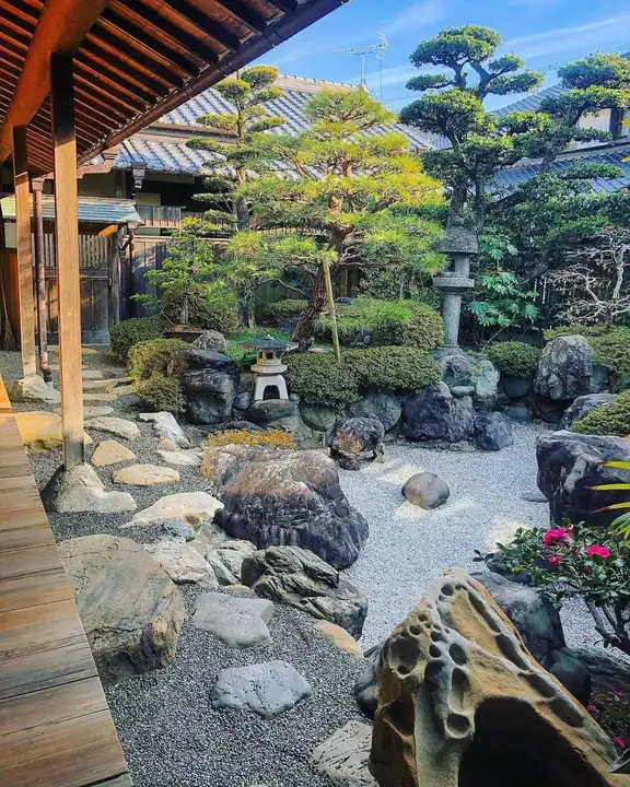 Japanese garden with large natural boulders, ferns, shaped trees, and a wooden veranda