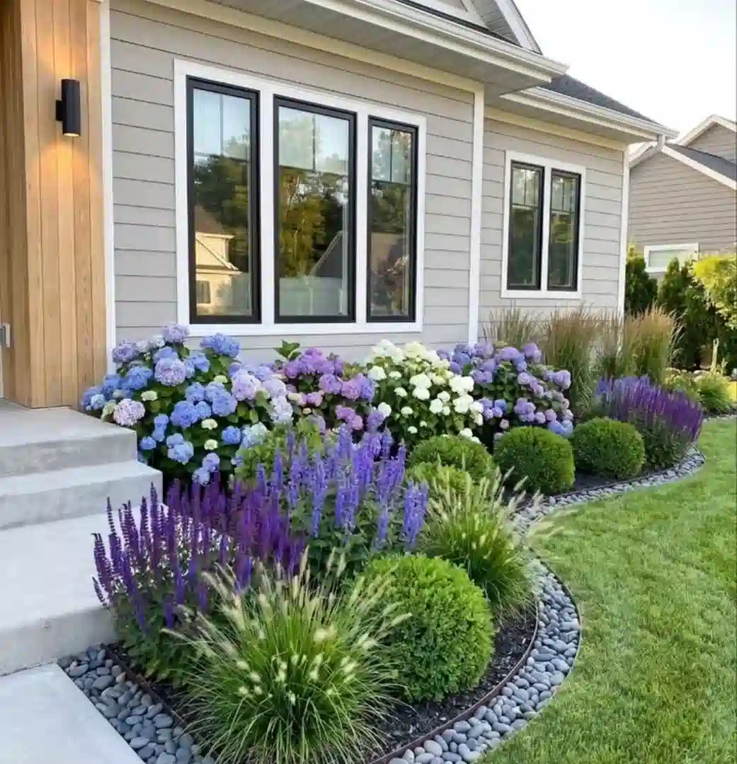 Purple and white flowers mixed with rounded green shrubs and ornamental grasses along a light-colored house.