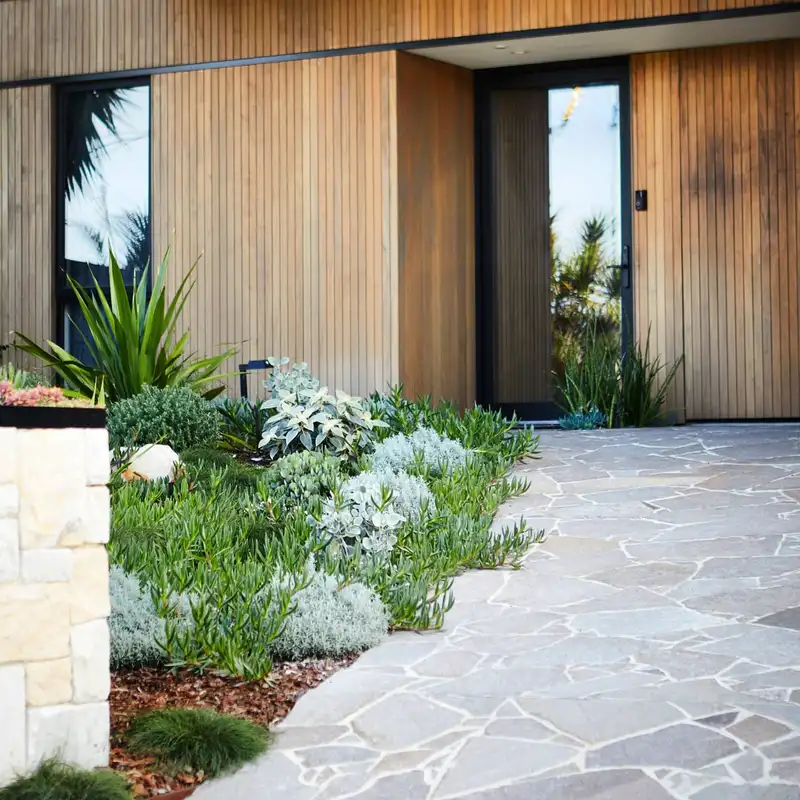 Pale stone driveway bordered by loose green and blue-green planting