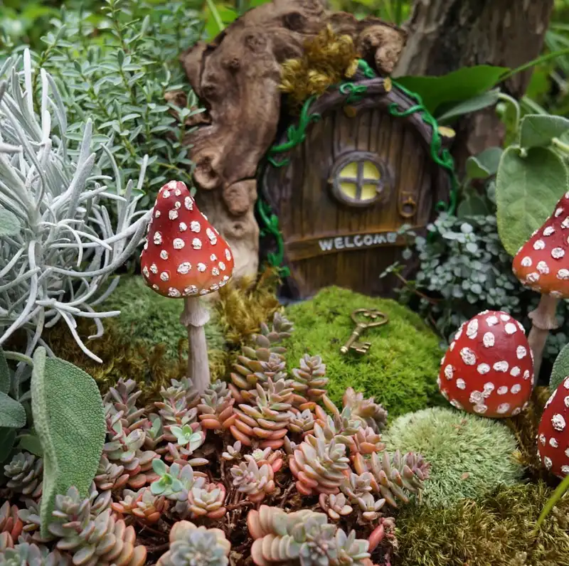 Fairy door set into a tree trunk surrounded by moss, succulents, mushrooms, and small plants
