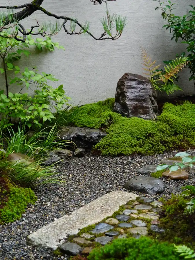 Shaded Japanese moss garden with flat stepping stones, ferns, and irregular natural rocks