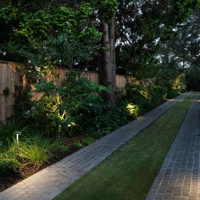 Narrow dark driveway surrounded by trees and dense greenery with small landscape lights